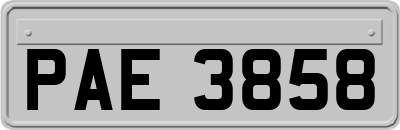 PAE3858