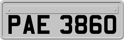 PAE3860