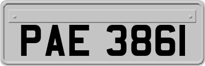 PAE3861
