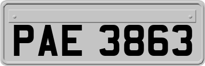 PAE3863