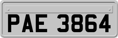 PAE3864