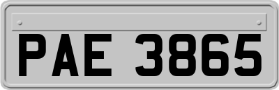PAE3865