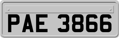 PAE3866