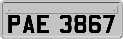 PAE3867