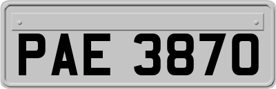PAE3870