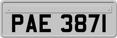 PAE3871