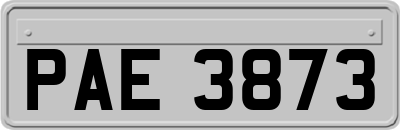 PAE3873