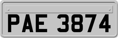 PAE3874