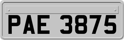 PAE3875