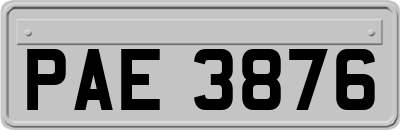 PAE3876