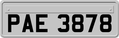 PAE3878