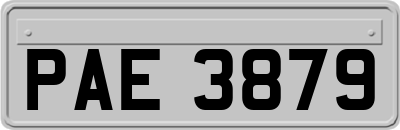 PAE3879