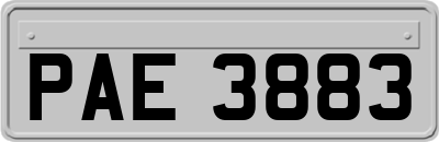PAE3883