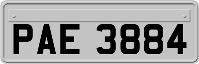 PAE3884