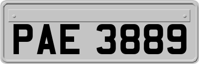 PAE3889