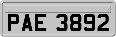 PAE3892
