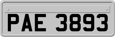 PAE3893