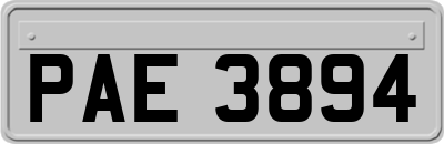 PAE3894