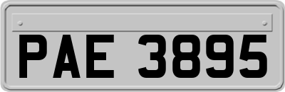 PAE3895