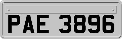 PAE3896