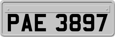 PAE3897