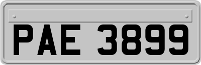 PAE3899