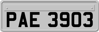 PAE3903