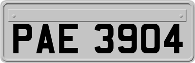 PAE3904