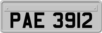 PAE3912