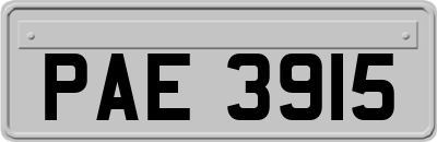 PAE3915