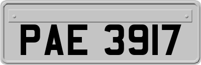PAE3917