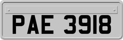 PAE3918