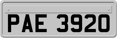 PAE3920