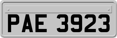 PAE3923