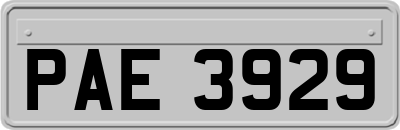 PAE3929