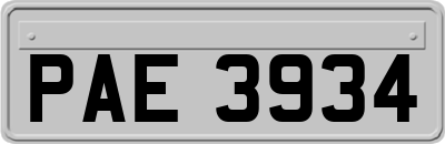 PAE3934