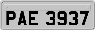 PAE3937