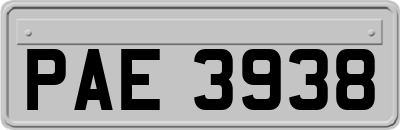 PAE3938