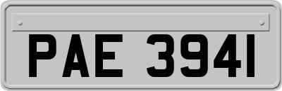 PAE3941