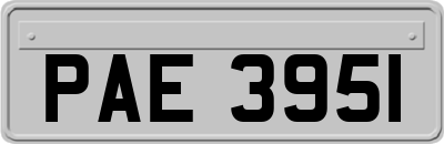 PAE3951