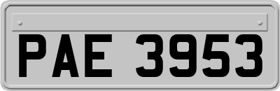 PAE3953