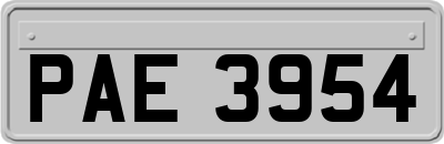 PAE3954