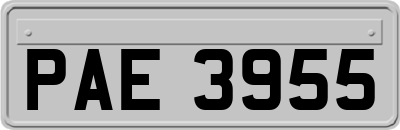 PAE3955
