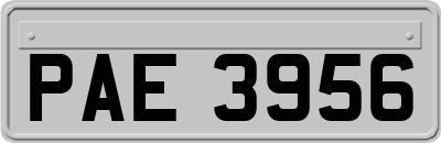PAE3956