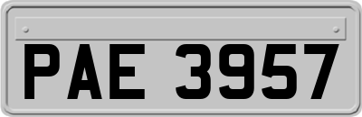 PAE3957