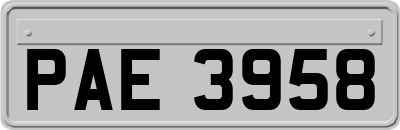 PAE3958