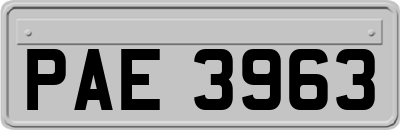 PAE3963