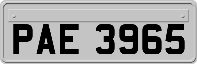PAE3965