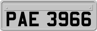 PAE3966