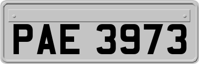 PAE3973